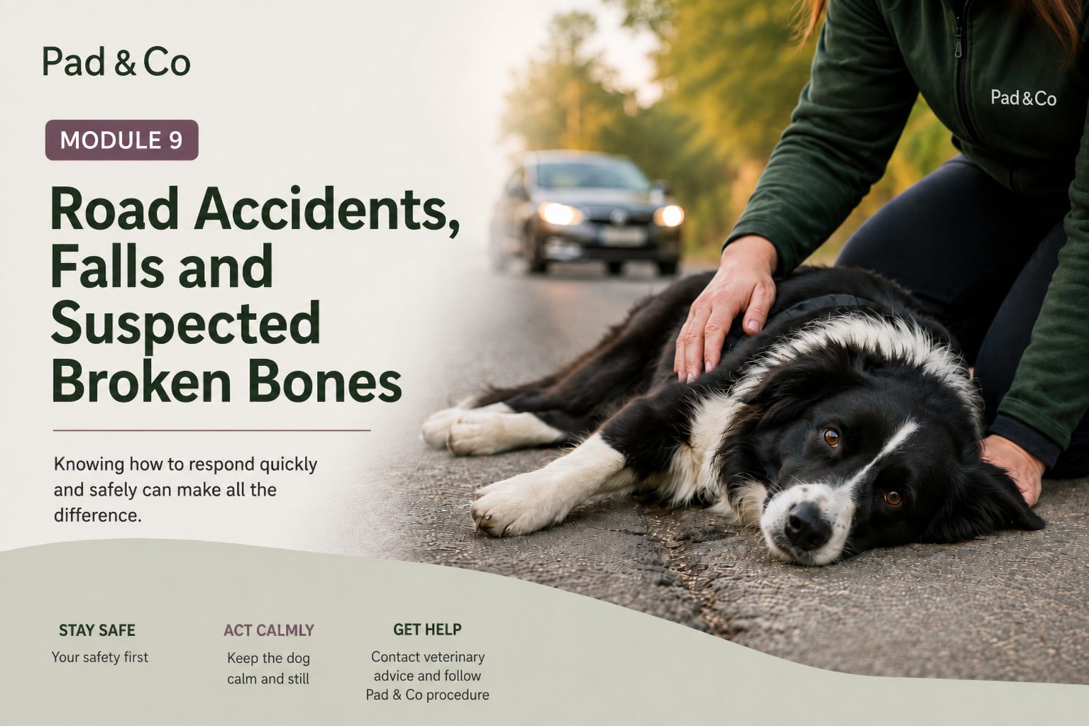 Road Accidents, Falls and Suspected Broken Bones