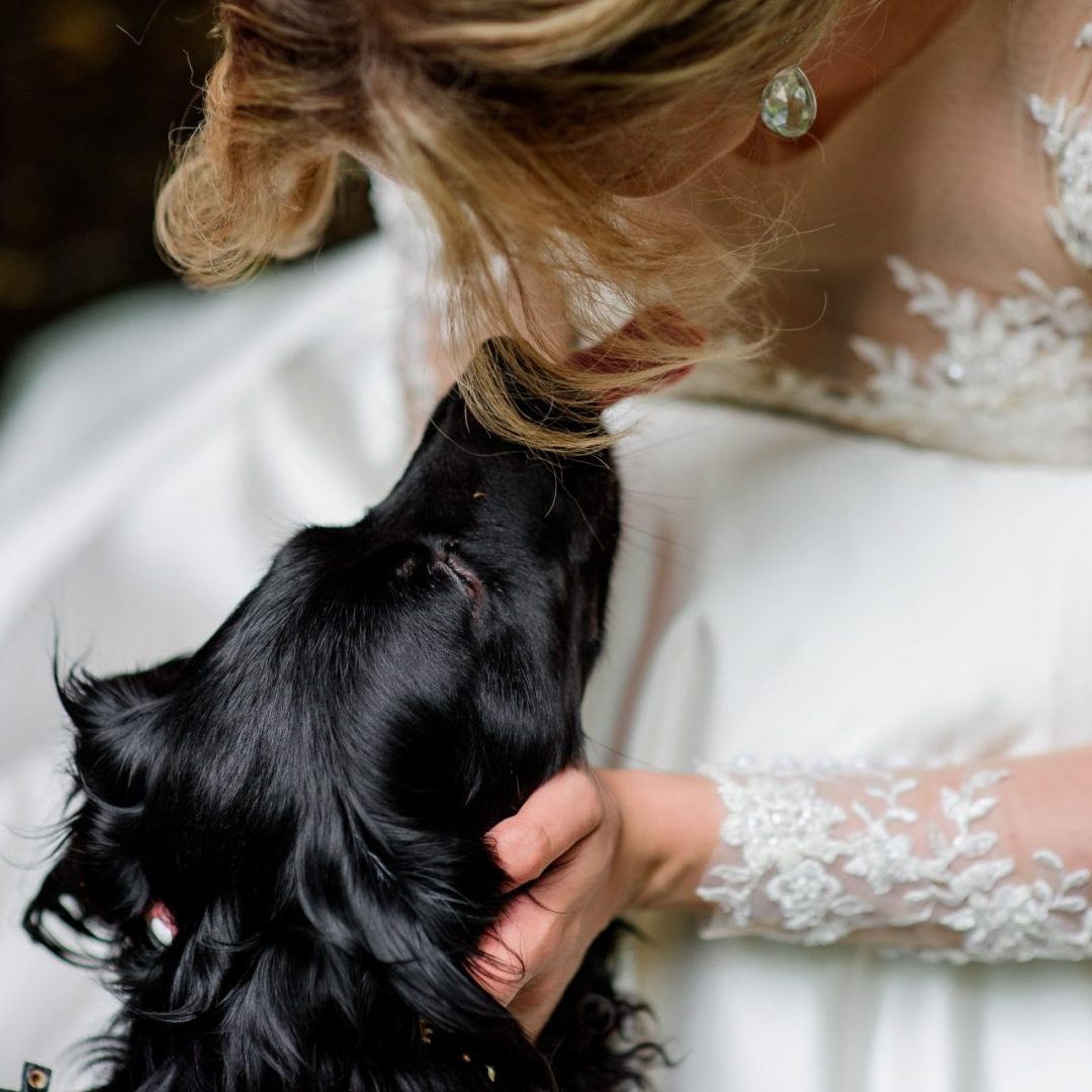 Stunning,Bride,Plays,With,A,Nice,Dog,In,The,Park